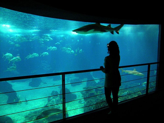 Oceanario Lisboa